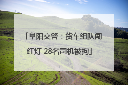 阜阳交警：货车组队闯红灯 28名司机被拘