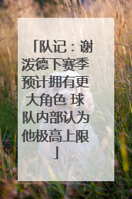 队记：谢泼德下赛季预计拥有更大角色 球队内部认为他极高上限