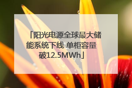 阳光电源全球最大储能系统下线 单柜容量破12.5MWh
