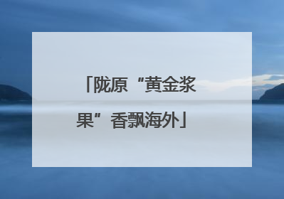 陇原“黄金浆果”香飘海外