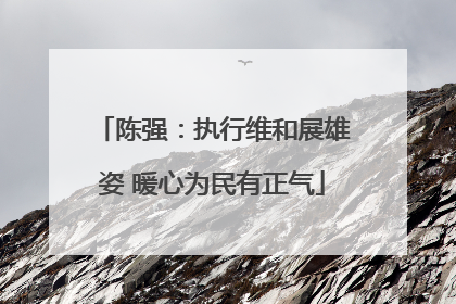 陈强：执行维和展雄姿 暖心为民有正气