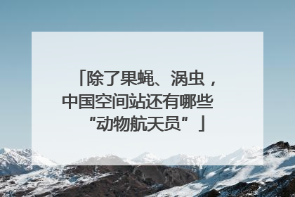 除了果蝇、涡虫，中国空间站还有哪些“动物航天员”