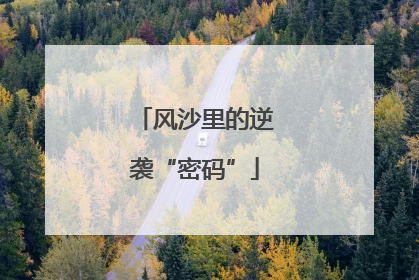 风沙里的逆袭“密码”