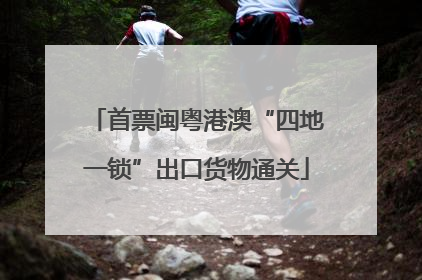 首票闽粤港澳“四地一锁”出口货物通关