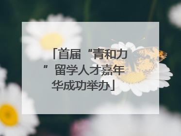 首届“青和力”留学人才嘉年华成功举办