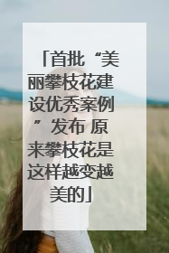 首批“美丽攀枝花建设优秀案例”发布 原来攀枝花是这样越变越美的