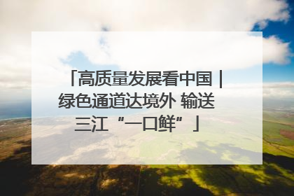高质量发展看中国｜绿色通道达境外 输送三江“一口鲜”