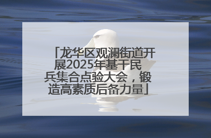 龙华区观澜街道开展2025年基干民兵集合点验大会，锻造高素质后备力量
