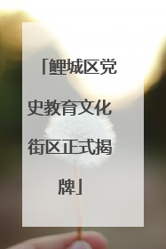 鲤城区党史教育文化街区正式揭牌