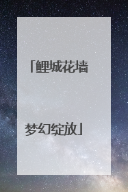 鲤城花墙 梦幻绽放