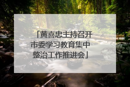 黄喜忠主持召开市委学习教育集中整治工作推进会
