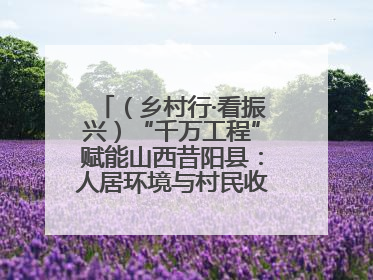 （乡村行·看振兴）“千万工程”赋能山西昔阳县：人居环境与村民收入“双提升”