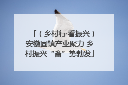 （乡村行·看振兴）安徽固镇产业聚力 乡村振兴“畜”势勃发