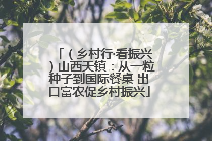 （乡村行·看振兴）山西天镇：从一粒种子到国际餐桌 出口富农促乡村振兴