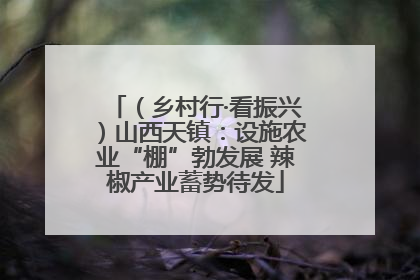 （乡村行·看振兴）山西天镇：设施农业“棚”勃发展 辣椒产业蓄势待发