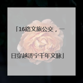 16路文旅公交，一日穿越济宁千年文脉