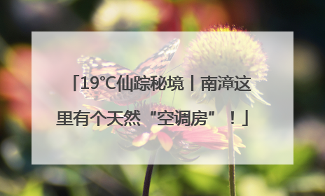 19℃仙踪秘境丨南漳这里有个天然“空调房”！