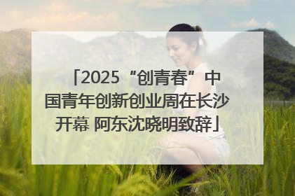 2025“创青春”中国青年创新创业周在长沙开幕 阿东沈晓明致辞