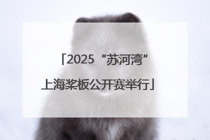 2025“苏河湾”上海桨板公开赛举行