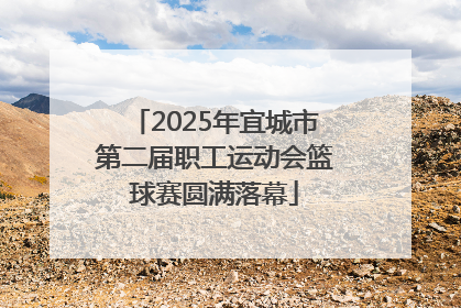 2025年宜城市第二届职工运动会篮球赛圆满落幕