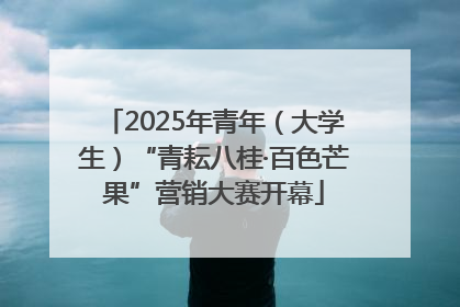 2025年青年（大学生）“青耘八桂·百色芒果”营销大赛开幕