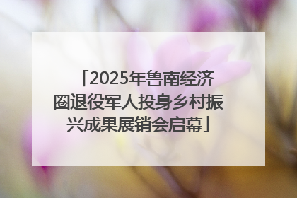 2025年鲁南经济圈退役军人投身乡村振兴成果展销会启幕