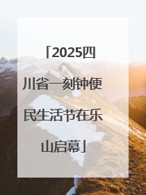 2025四川省一刻钟便民生活节在乐山启幕