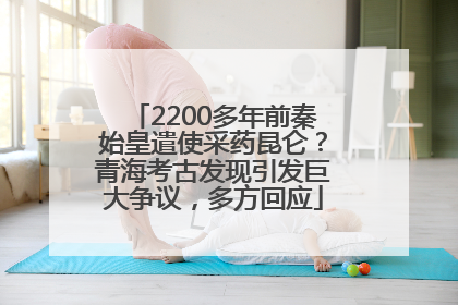 2200多年前秦始皇遣使采药昆仑？青海考古发现引发巨大争议，多方回应