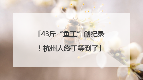 43斤“鱼王”创纪录！杭州人终于等到了