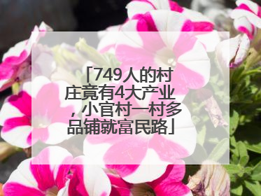 749人的村庄竟有4大产业，小官村一村多品铺就富民路