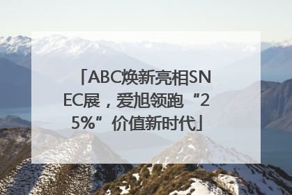 ABC焕新亮相SNEC展，爱旭领跑“25%”价值新时代
