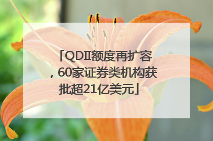 QDII额度再扩容，60家证券类机构获批超21亿美元