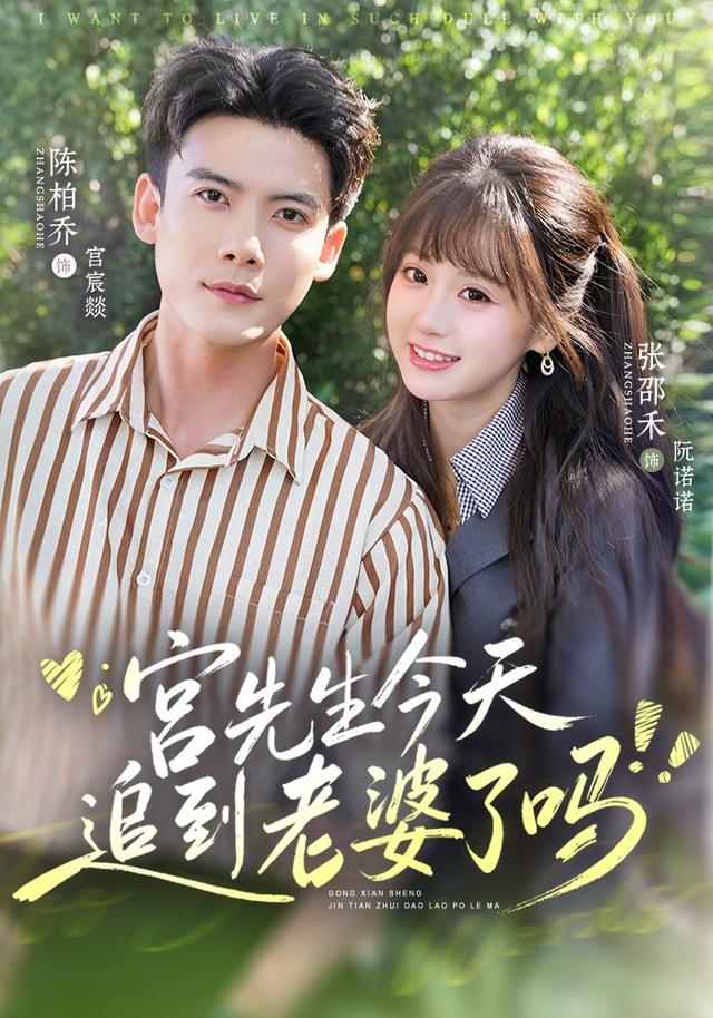 宫先生今天追到老婆了吗海报